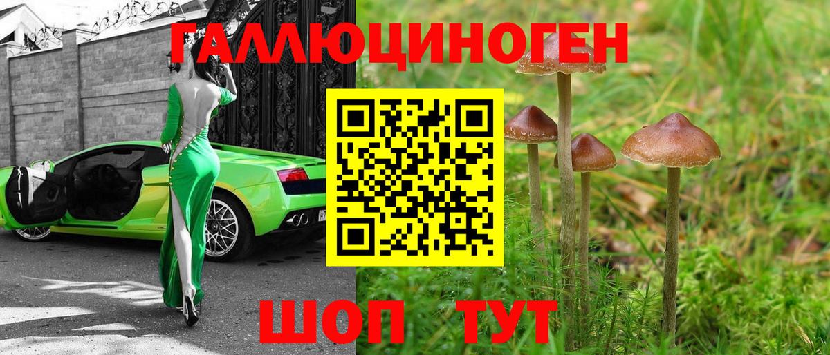 Галлюциногенные грибы GOLDEN TEACHER Дюртюли